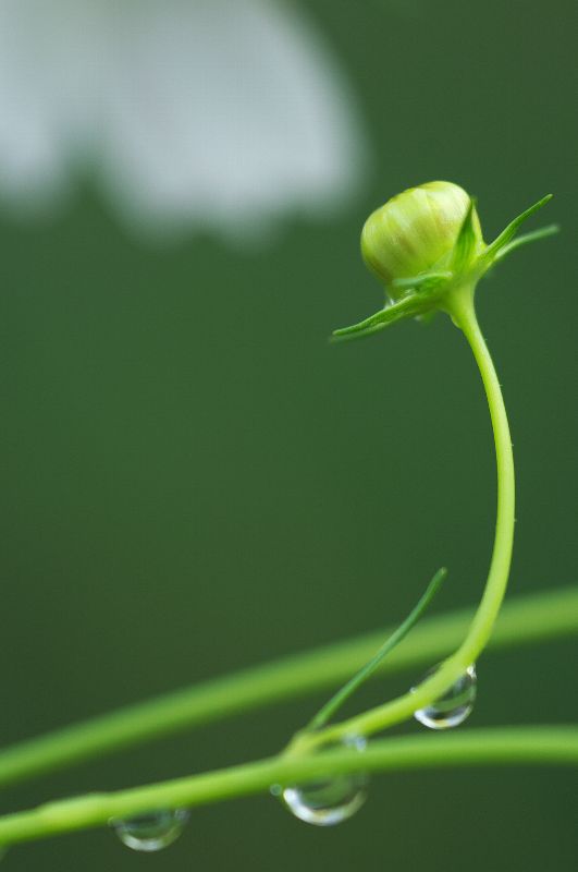 难得一见的极品美景 - 风的模样 - 风的模样的博客 难得一见的极品美景 - 风的模样 - 风的模样的博客