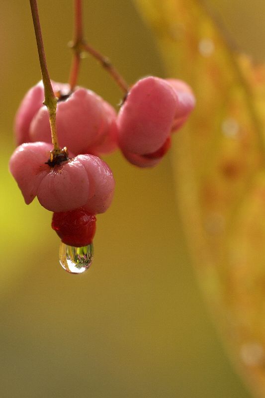 难得一见的极品美景 - 风的模样 - 风的模样的博客 难得一见的极品美景 - 风的模样 - 风的模样的博客