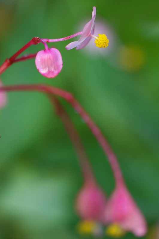 难得一见的极品美景 - 风的模样 - 风的模样的博客 难得一见的极品美景 - 风的模样 - 风的模样的博客