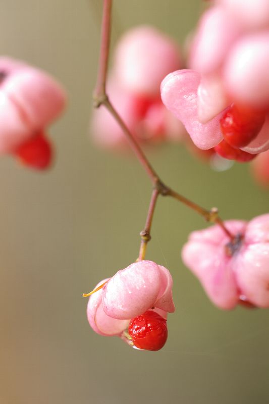 难得一见的极品美景 - 风的模样 - 风的模样的博客 难得一见的极品美景 - 风的模样 - 风的模样的博客