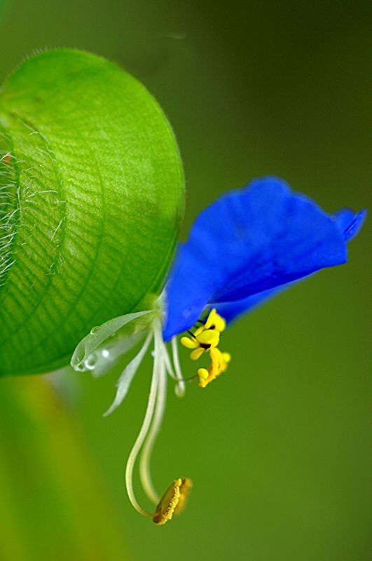 难得一见的极品美景 - 风的模样 - 风的模样的博客 难得一见的极品美景 - 风的模样 - 风的模样的博客