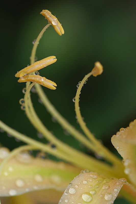 难得一见的极品美景 - 风的模样 - 风的模样的博客 难得一见的极品美景 - 风的模样 - 风的模样的博客