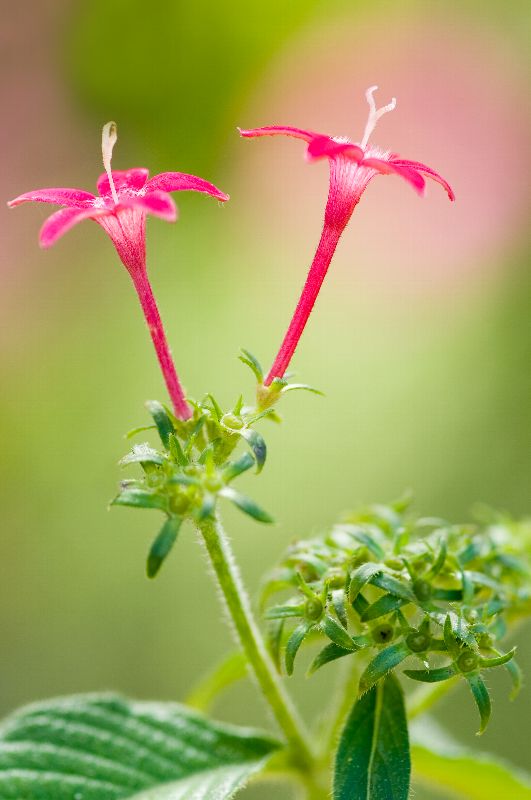 难得一见的极品美景 - 风的模样 - 风的模样的博客 难得一见的极品美景 - 风的模样 - 风的模样的博客