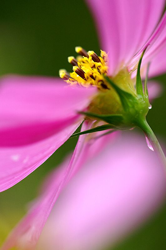 难得一见的极品美景 - 风的模样 - 风的模样的博客 难得一见的极品美景 - 风的模样 - 风的模样的博客