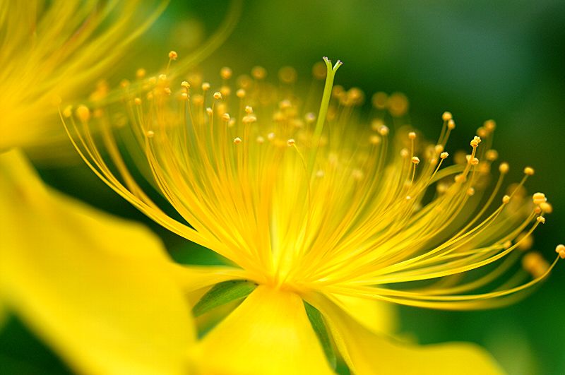 难得一见的极品美景 - 风的模样 - 风的模样的博客 难得一见的极品美景 - 风的模样 - 风的模样的博客