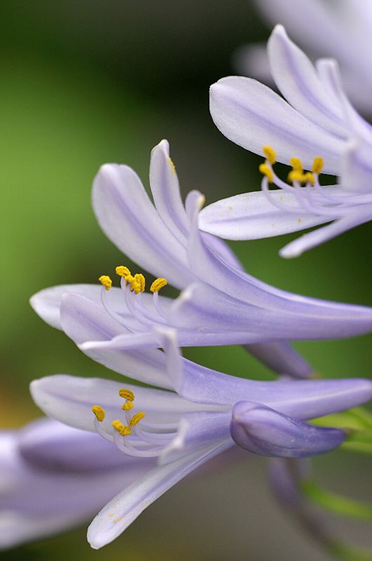 难得一见的极品美景 - 风的模样 - 风的模样的博客 难得一见的极品美景 - 风的模样 - 风的模样的博客