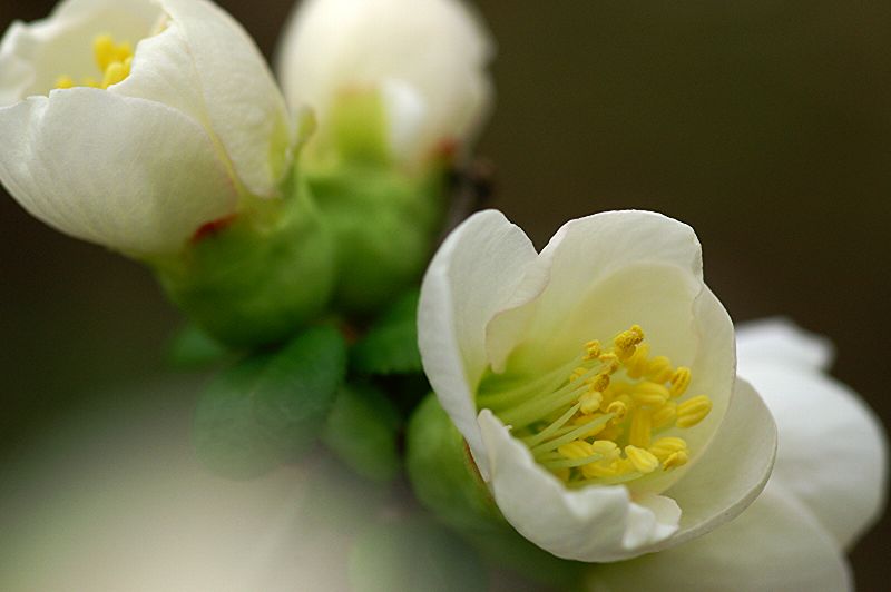 难得一见的极品美景 - 风的模样 - 风的模样的博客 难得一见的极品美景 - 风的模样 - 风的模样的博客