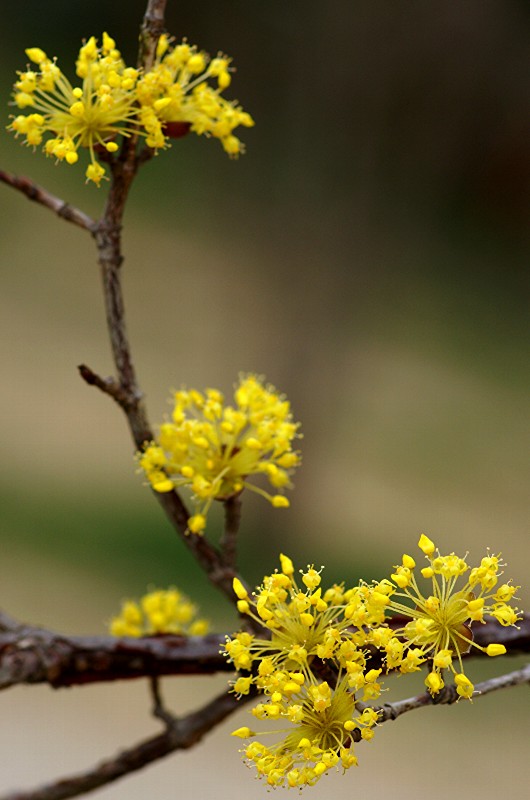 难得一见的极品美景 - 风的模样 - 风的模样的博客 难得一见的极品美景 - 风的模样 - 风的模样的博客