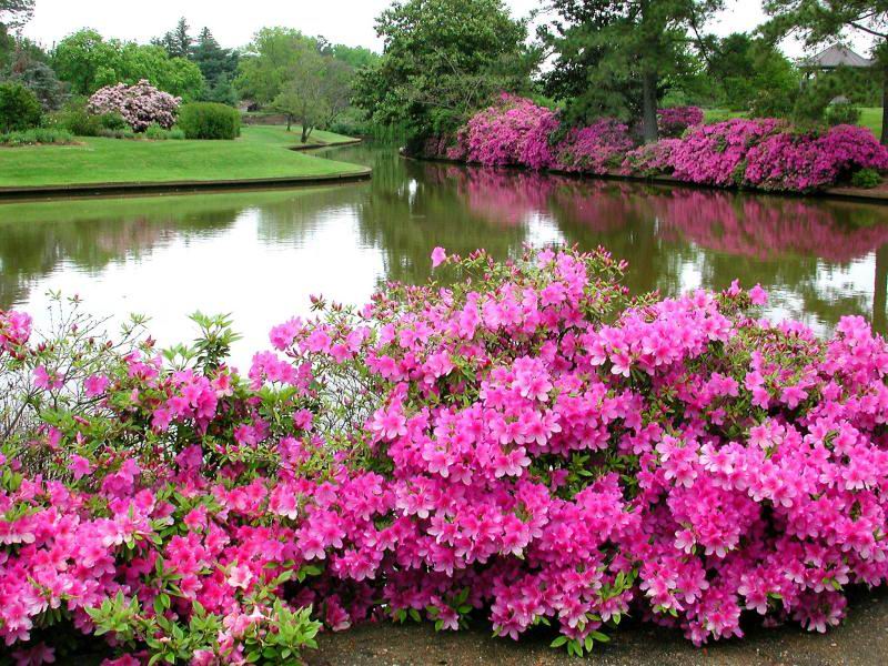 色迷人人自迷 - 风的模样 - 风的模样的博客