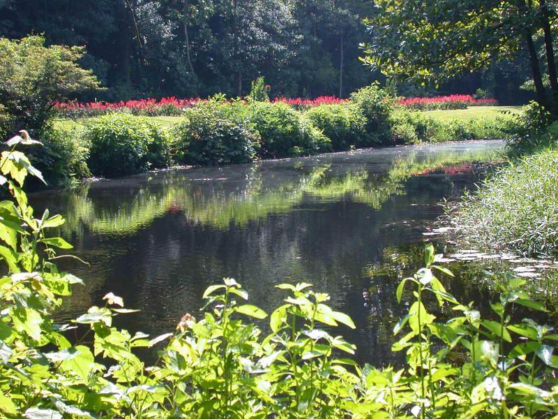 色迷人人自迷 - 风的模样 - 风的模样的博客