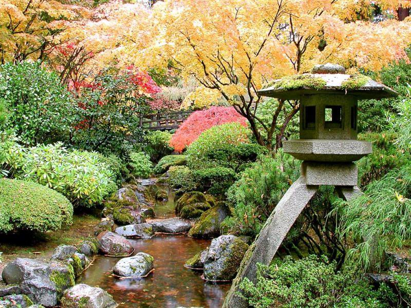 色迷人人自迷 - 风的模样 - 风的模样的博客