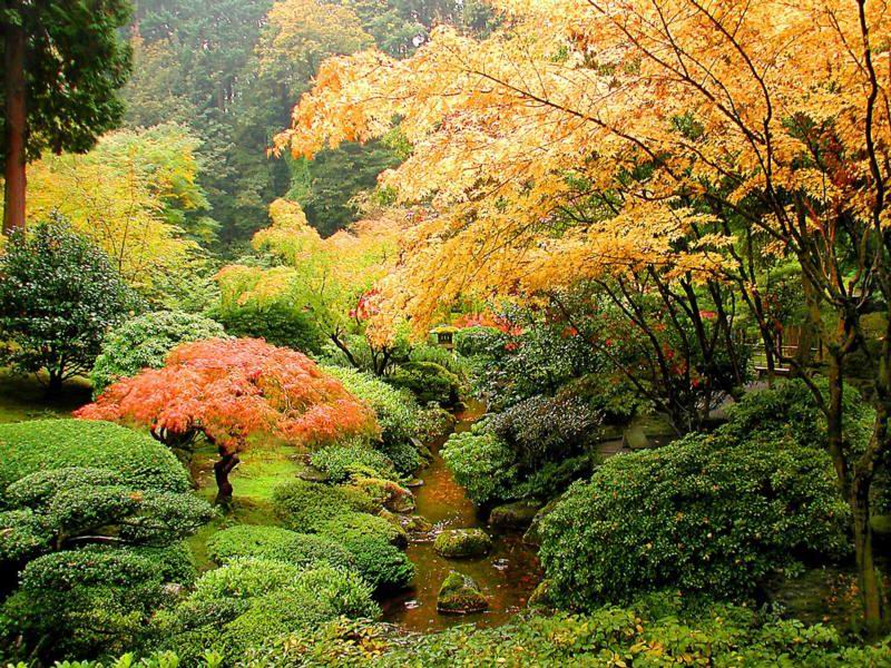 色迷人人自迷 - 风的模样 - 风的模样的博客