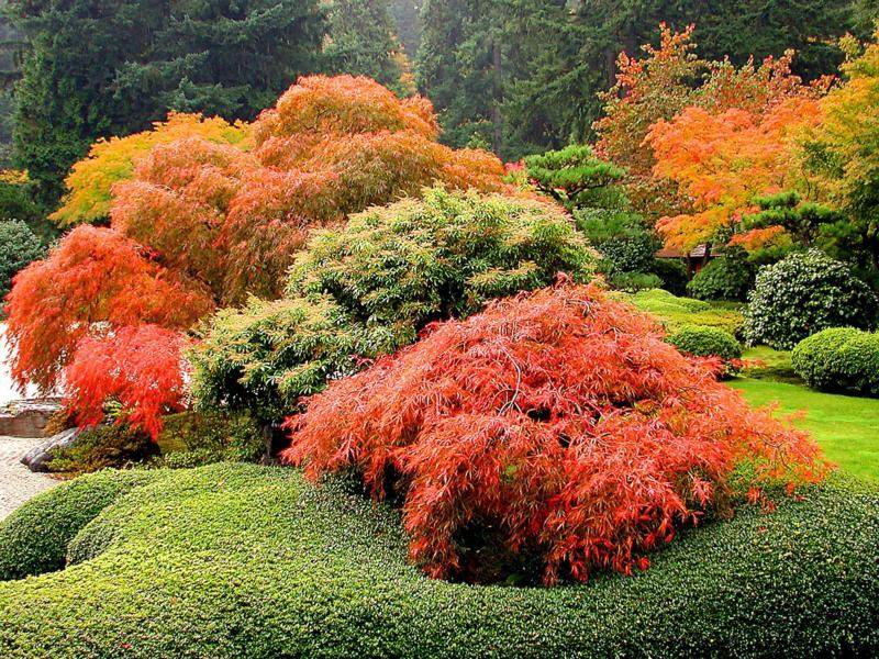 色迷人人自迷 - 风的模样 - 风的模样的博客