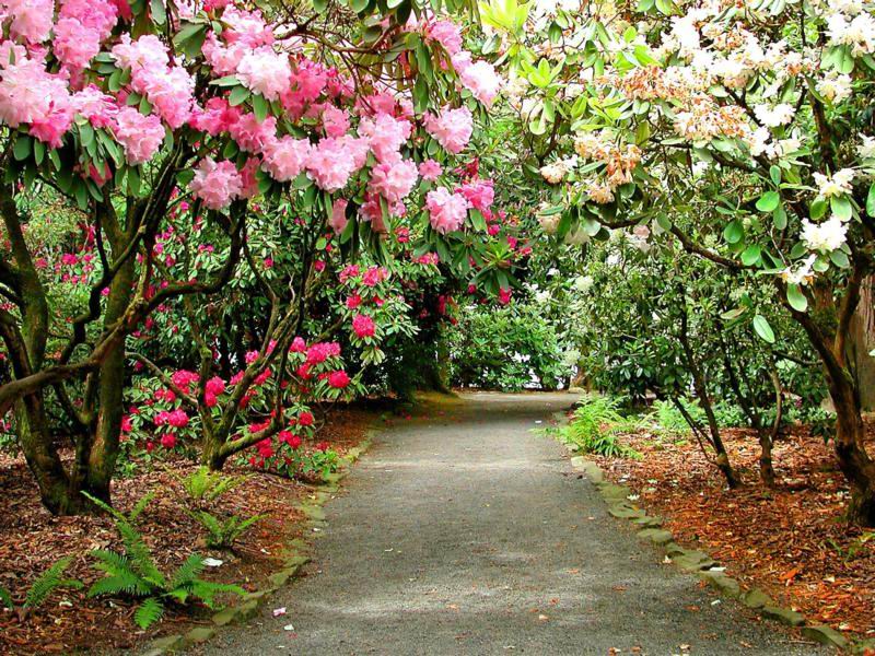 色迷人人自迷 - 风的模样 - 风的模样的博客