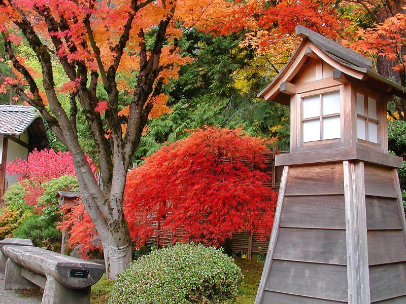 色迷人人自迷 - 风的模样 - 风的模样的博客