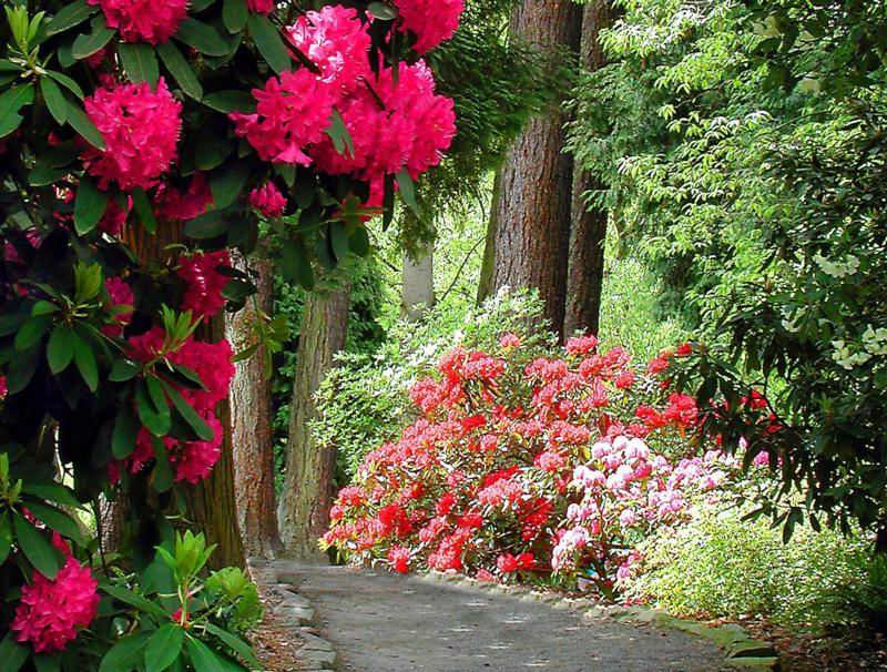 色迷人人自迷 - 风的模样 - 风的模样的博客