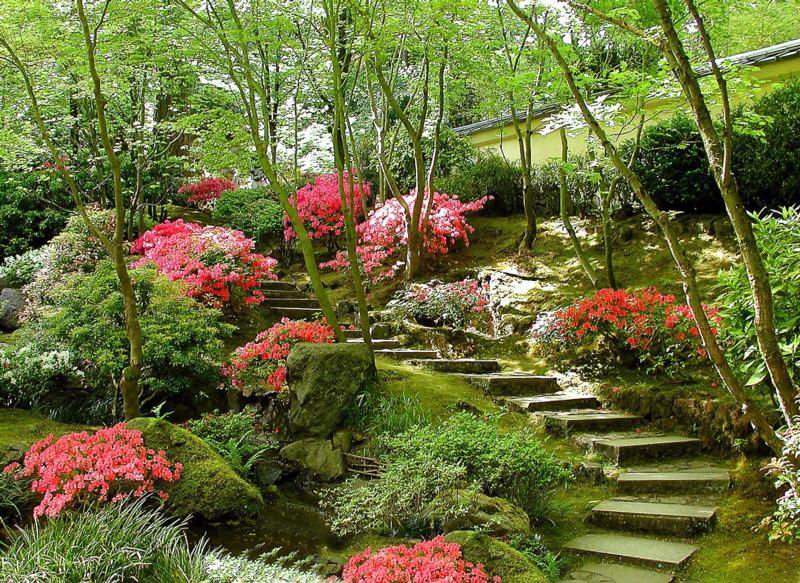 色迷人人自迷 - 风的模样 - 风的模样的博客