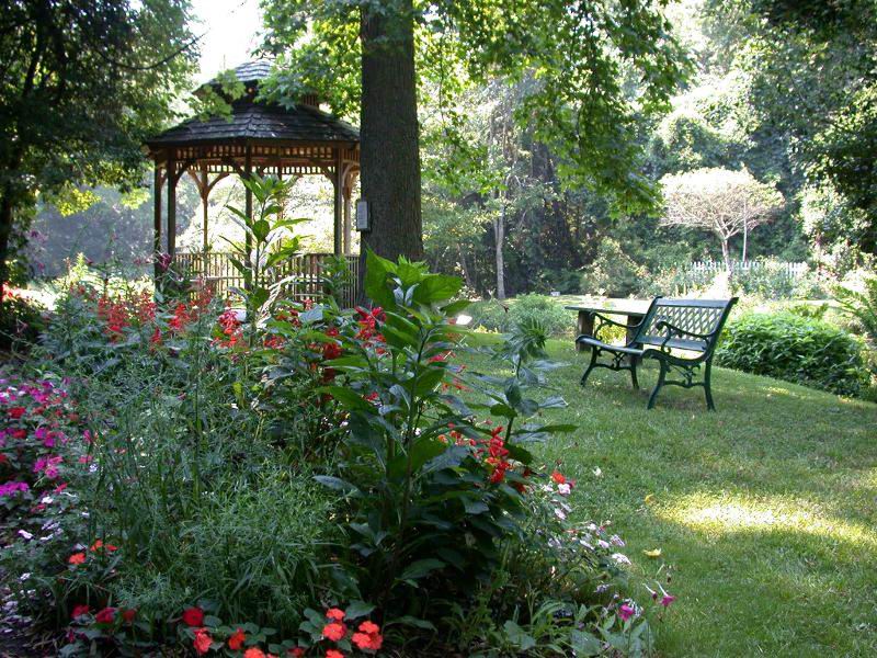 色迷人人自迷 - 风的模样 - 风的模样的博客